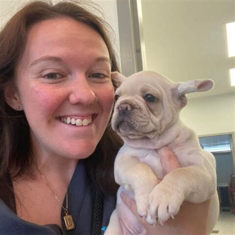 Best Vet In Clayton, OH 45315 | Clayton Animal Hospital