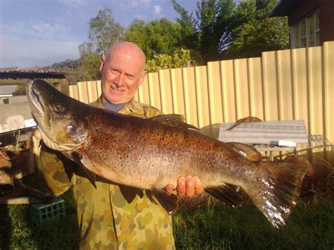 These lines need to be changed frequently to prevent wear and tear and to minimize the chances of an unexpected cut. Whopper 23-pound, 90-centimetre brown trout caught at ...