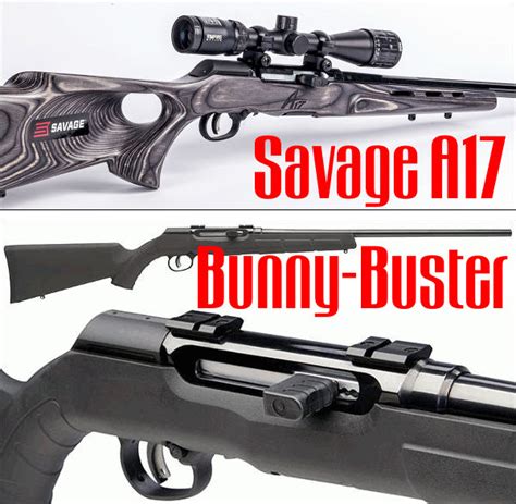 Great Rifle For Small Varmints — Savage A17 In 17 Hmr Laptrinhx News