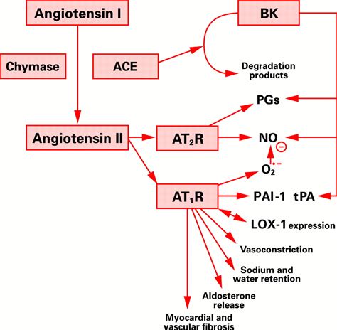 Angiotensin Receptor Blockers For Chronic Heart Failure And Acute Myocardial Infarction Heart
