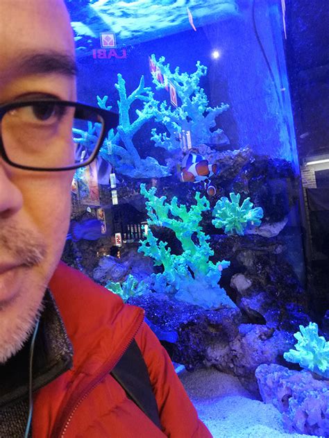 The latest tweets from アップリンク渋谷 (@uplink_shibuya). 感想10：映画『セブンガールズ』をアップリンク渋谷で鑑賞後は ...