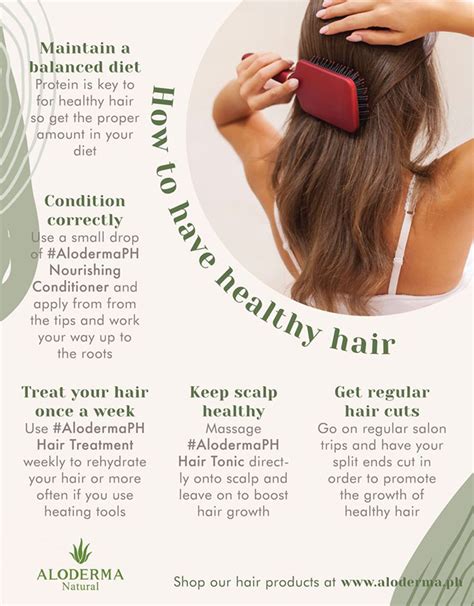 How To ‘skinify Your Hair Care Routine Using Aloe Vera Rochelle Rivera