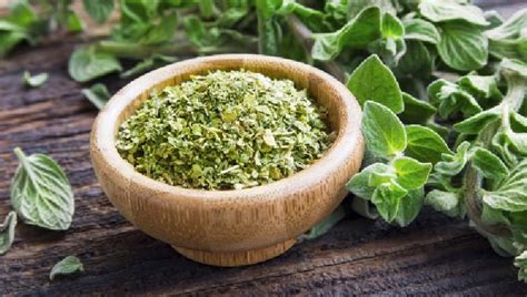 Health Benefits Of Oregano Herb Healthshots