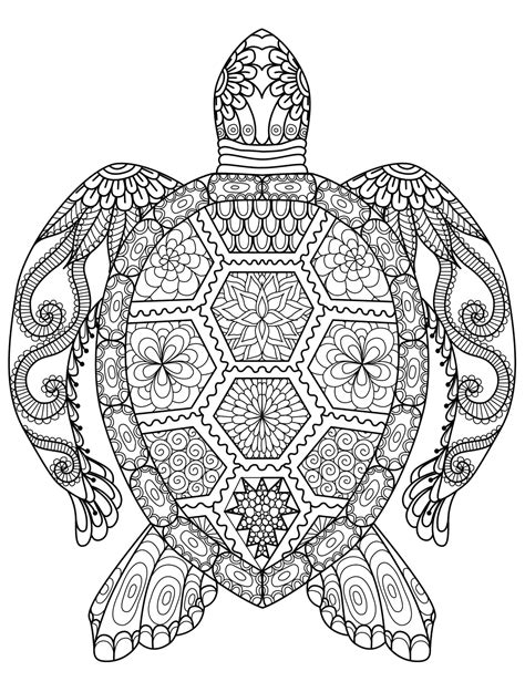 Https://tommynaija.com/coloring Page/adult Coloring Pages Printable Turtles