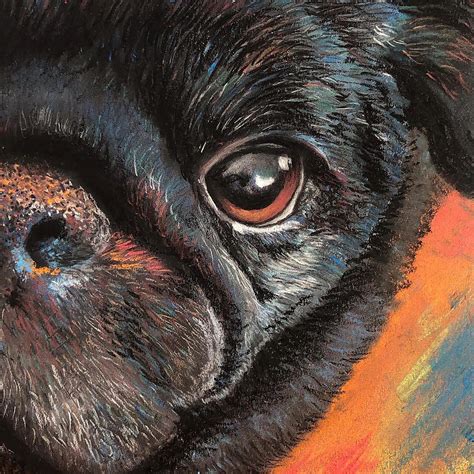 Custom Pet Portraits Chalk Pastel Etsy