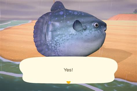 Animal Crossing New Horizons July Sea Creatures