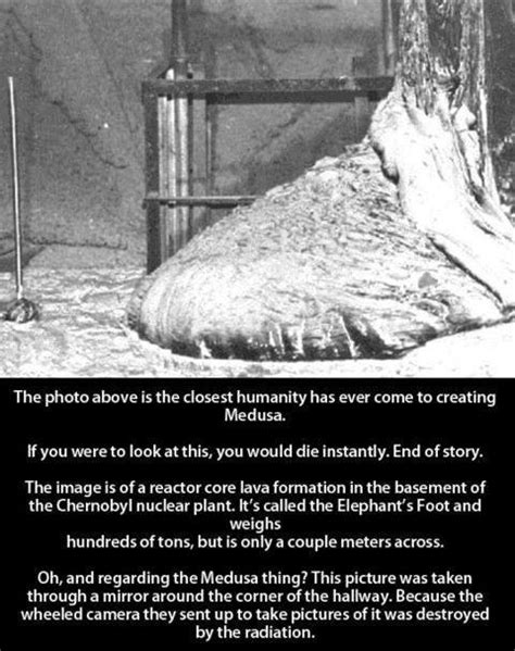 When the first photos were taken (above) it's reported the radiation caused the film to warpcredit: The Elephant's Foot of the Chernobyl disaster, 1986 1029x694 : HistoryPorn