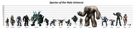 Species Of Halo By Tfprime1114 On Deviantart