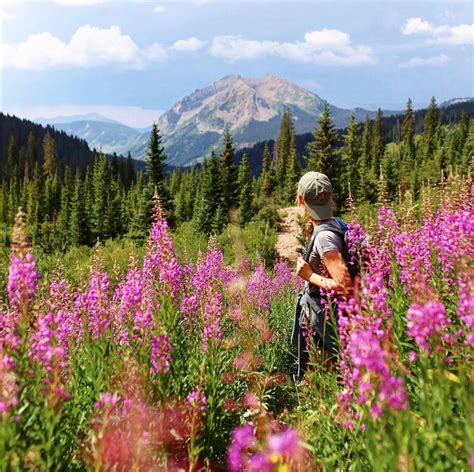 The 8 Best Wildflower Hikes In Colorado Road Trip To Colorado