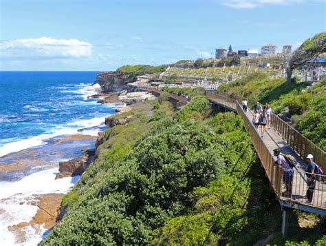 Bondi To Coogee Coastal Walk Why It Should Be On Your Sydney Itinerary