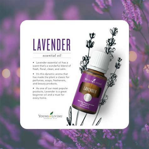 Young Living Lavender Essential Oil 5ml15ml Shopee Malaysia