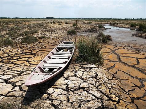 Effects Of Drought