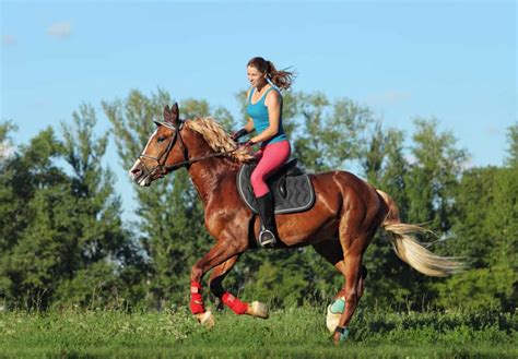 Horseback Riding Is Fun But Is It A Good Workout Too Horse Racing Sense