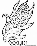 Coloring Corn Vegetable Cob Printable Sheet Vegetables Popular sketch template