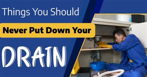 Things You Should Never Put Down Your Drain Wasden Plumbing