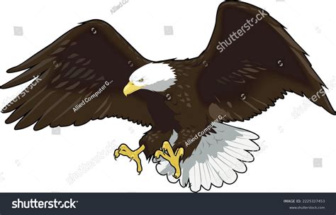 Bald Eagle Landing Vector Illustration Stock Vector Royalty Free