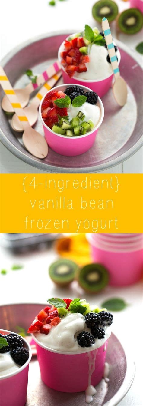 4 Ingredient Vanilla Bean Frozen Yogurt Frozen Yogurt Recipes Frozen Dessert Recipe Frozen