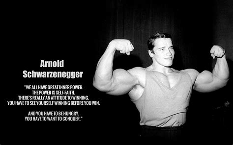 Arnold Schwarzenegger Background Download Free Pixelstalknet