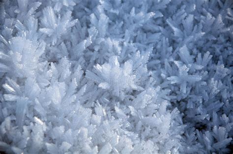 Frost And Snow Ice Crystals Stock Images Image 12341454