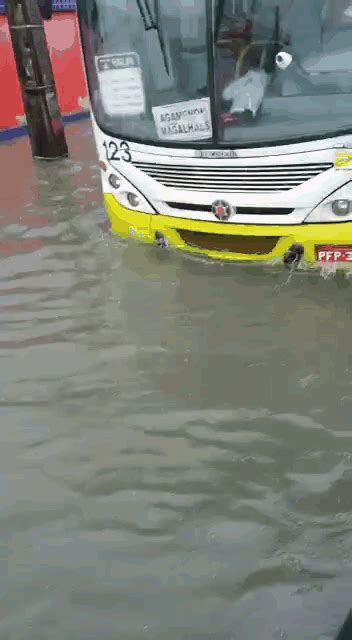 Guy Trying To Rob A Phone In The Middle Of A Flood In Brazil