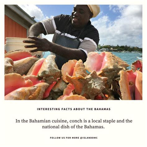Interesting Facts About The Bahamas In The Bahamian Cuisine Conch Is