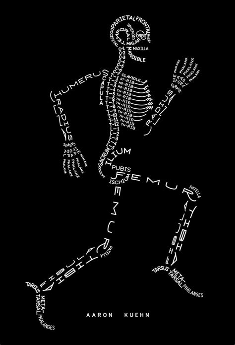 Skeleton Typogram A Human Skeleton Illustration Made Using The Words