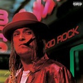 Kid Rock - Devil Without A Cause (Explicit)(2LP) - Amazon.com Music