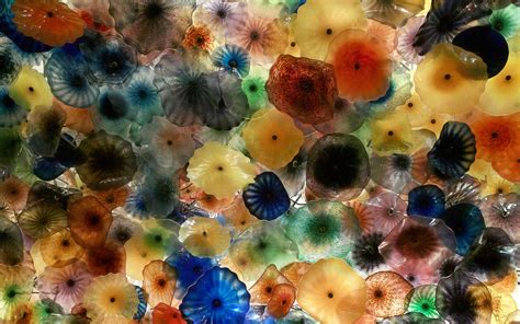 Colorful Jellyfish Wallpaper Wallpapersafari