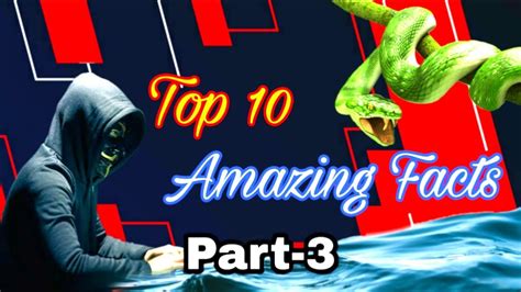 Top 10 Amazing Facts Part 3 Interesting And Fun Facts Youtube