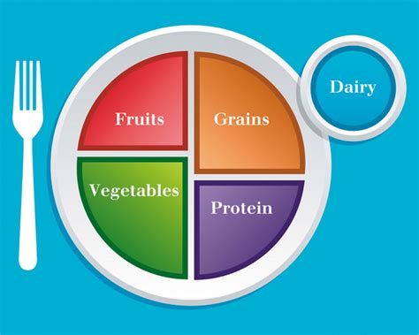 The reduction of water content has the greatest effect of increasing protein as. Focus on Food Groups: The Benefits of Balancing Your Plate ...