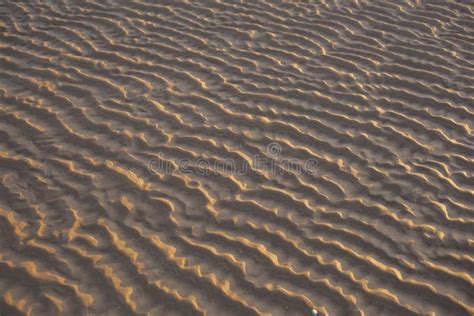 Sunset Sand Ripples Stock Photo Image Of Reflection 132012654