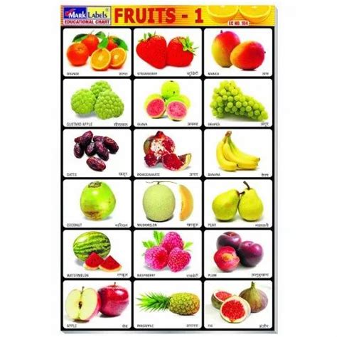 English And Hindi Paper Fruits Chart Size 9 Inch X 135 Inch At Rs 42
