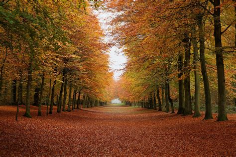 7 MACAM BIOMA DI DUNIA