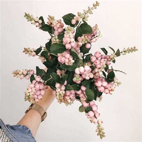 Heather Page On Instagram Snowed In So Snowberries ⛄️ Beautiful