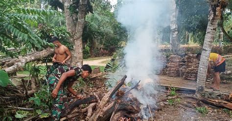 Namun sebagai gantinya, jika anak perempuan maka harus dicarikan. Anggota Satgas TMMD 108 Bantu Bersihkan Pekarangan Rumah ...