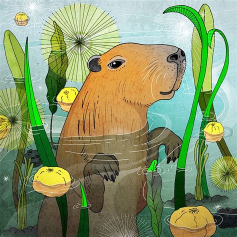 Capybara Cute Paintings Capybara Cute Drawings