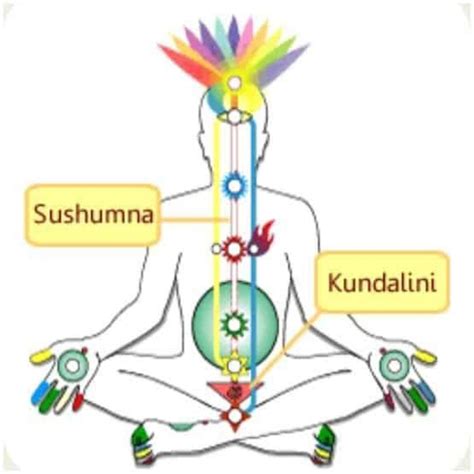 What Is The Physiology Of Kundalini And Chakras And How Kundalini