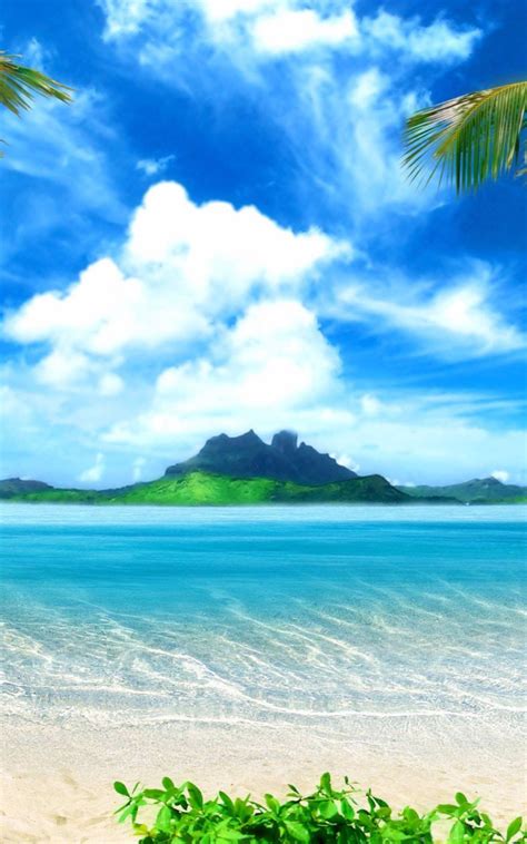 Free Download Caribbean Beach Nature 4k Wallpaper 4k Wallpaper