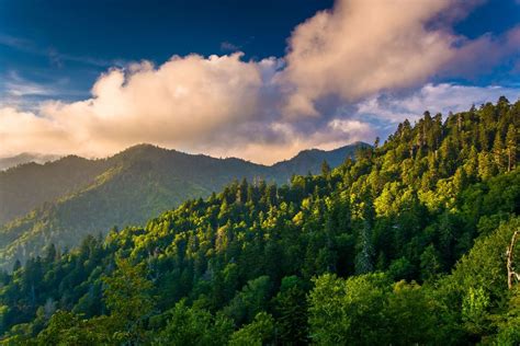Le Parc National Des Great Smoky Mountains Le Sud Des Etats Unis