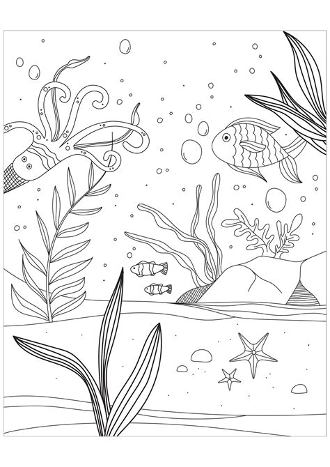 Coloriage Mers Coloriages Sketch Coloring Page