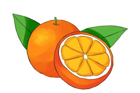 Orange Drawing Easy Slice Simple And Step By Step