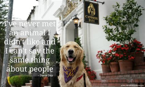 Doris day tribute (discovering doris). I've never met an animal I didn't like ... - Golden Woofs