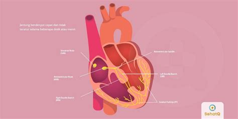 11 makanan pencegah penyakit jantung yang ampuh. Jantung Berdebar | Tanda dan Gejala, Penyebab, Cara ...