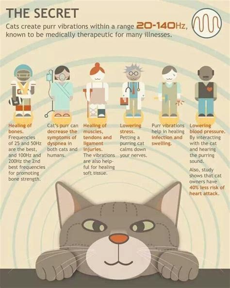 Research shows that the cat's purr has healing properties and can actually heal bones, muscles and tendons. Healing Cats Purring | tippy tip tips | Pinterest