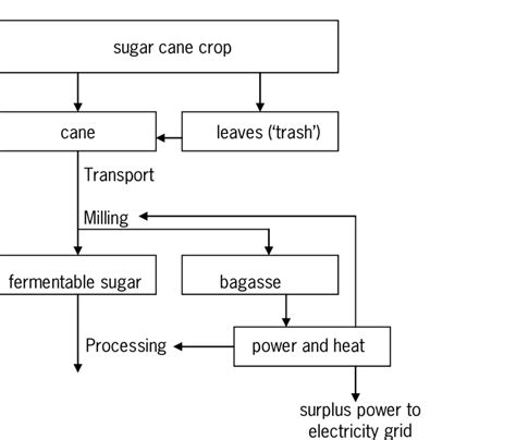 Flow Chart For Production Of Fermentable Sugar From Sugar Cane