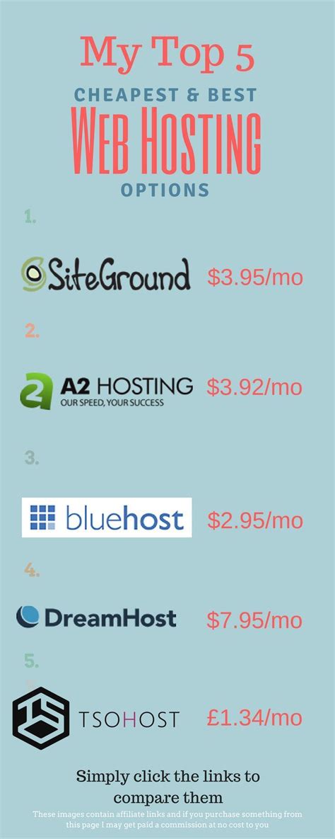 My Top 5 Cheapest And Best Web Hosting Options Infographic These Are