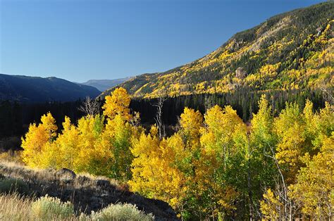 Colorado Fall Colors When Where To See Them