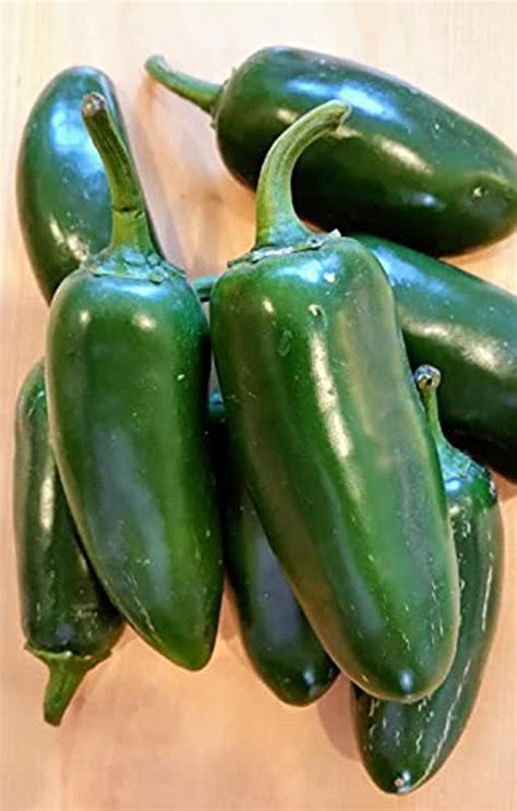 Fresh Jalapenos Peppers