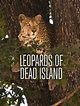 Leopards of Dead Tree Island | Xfinity Stream
