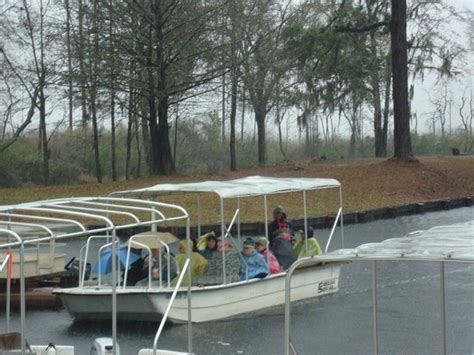 Swamp Boat Tour In The Cold Rain Okefenokee Picture Of Okefenokee